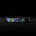 Junebug Graffiti Dog Collar - junebug